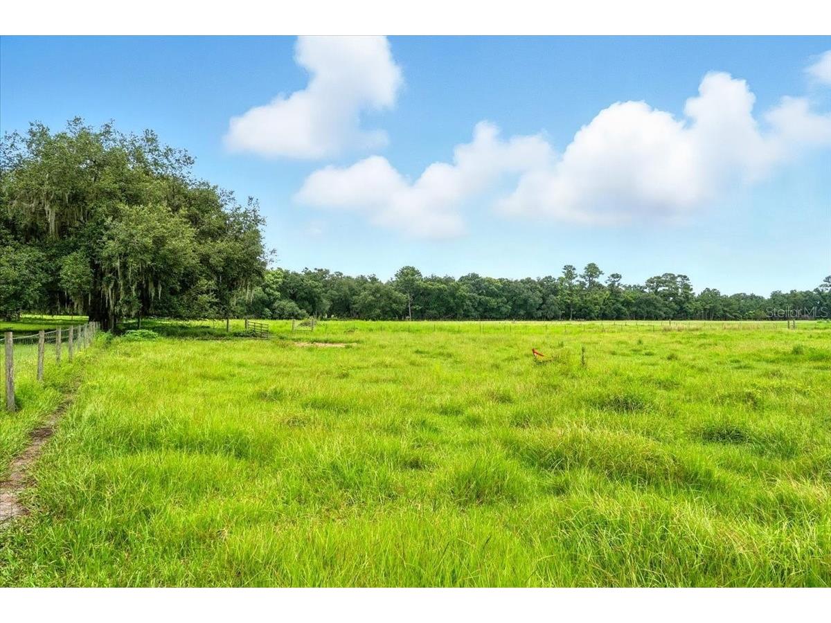 39410 Sparkman Road Dade City FL 33525 L4952813 image4