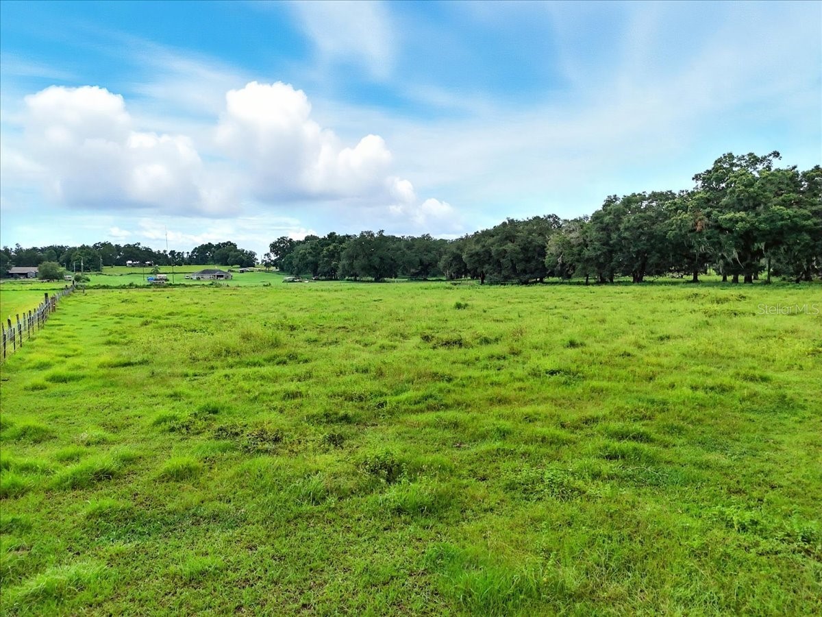 39410 Sparkman Road Dade City FL 33525 L4952813 image5