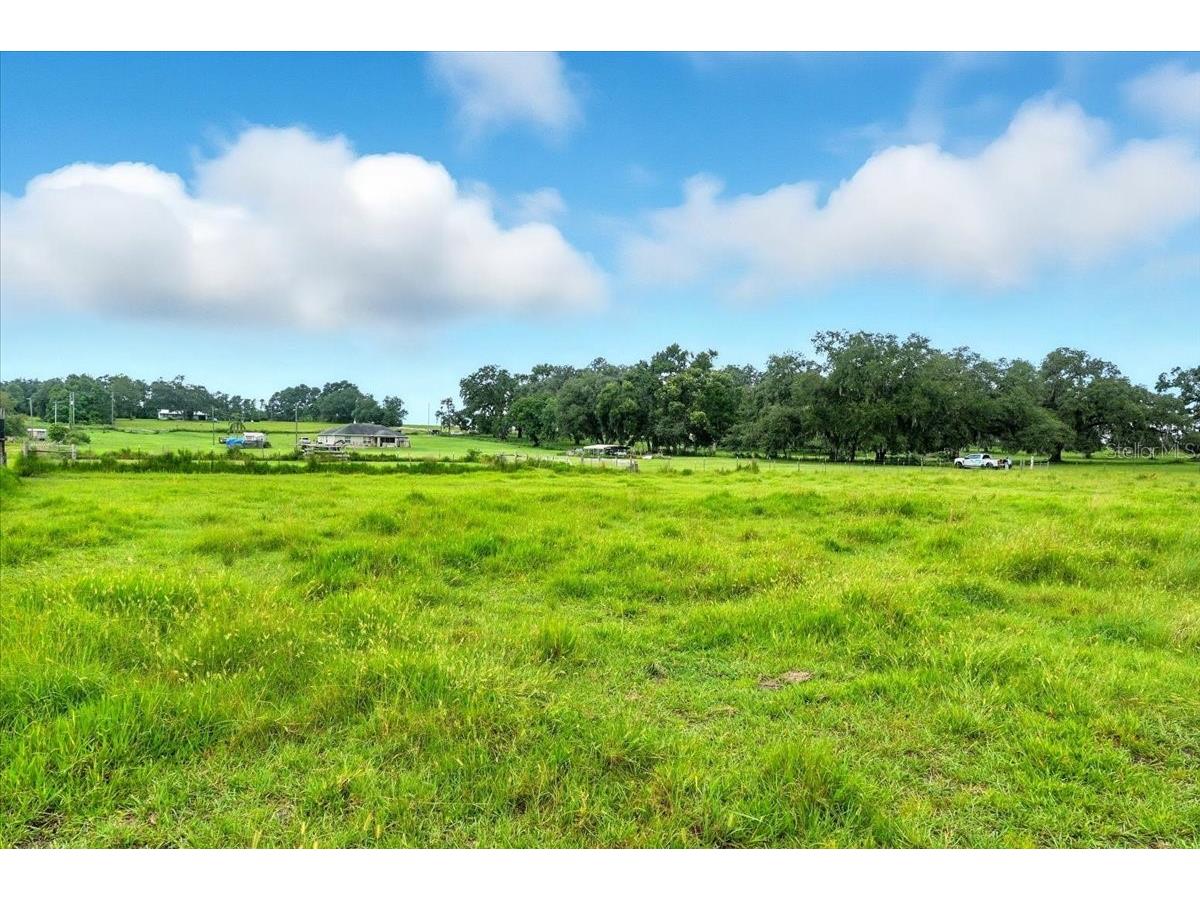 39410 Sparkman Road Dade City FL 33525 L4952813 image6