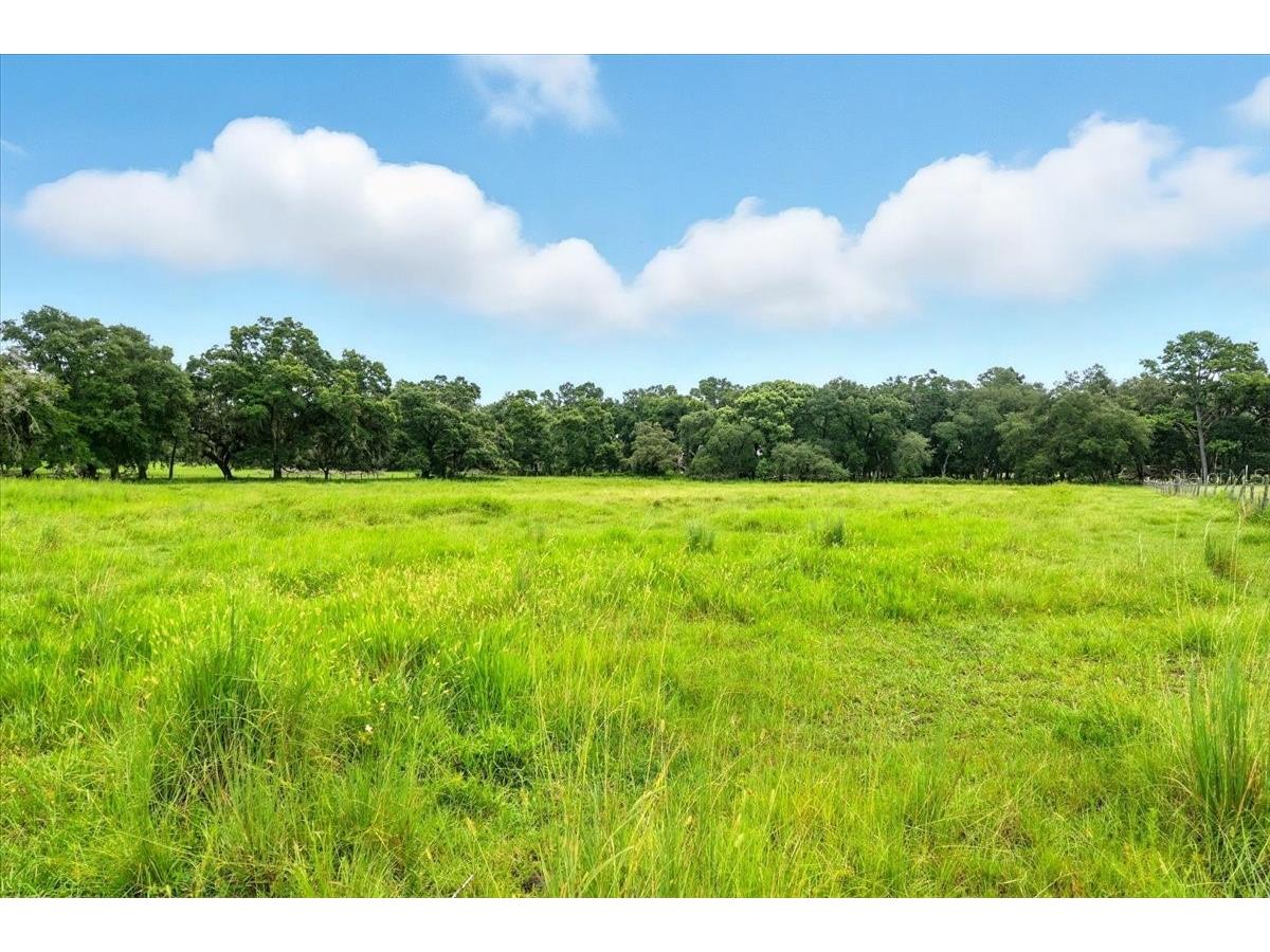 39410 Sparkman Road Dade City FL 33525 L4952813 image7