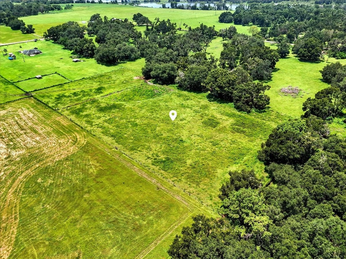 39410 Sparkman Road Dade City FL 33525 L4952813 image9
