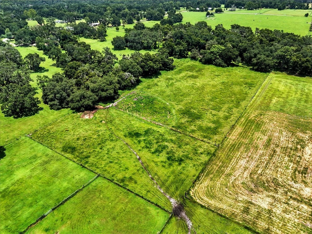 39410 Sparkman Road Dade City FL 33525 L4962013 image21