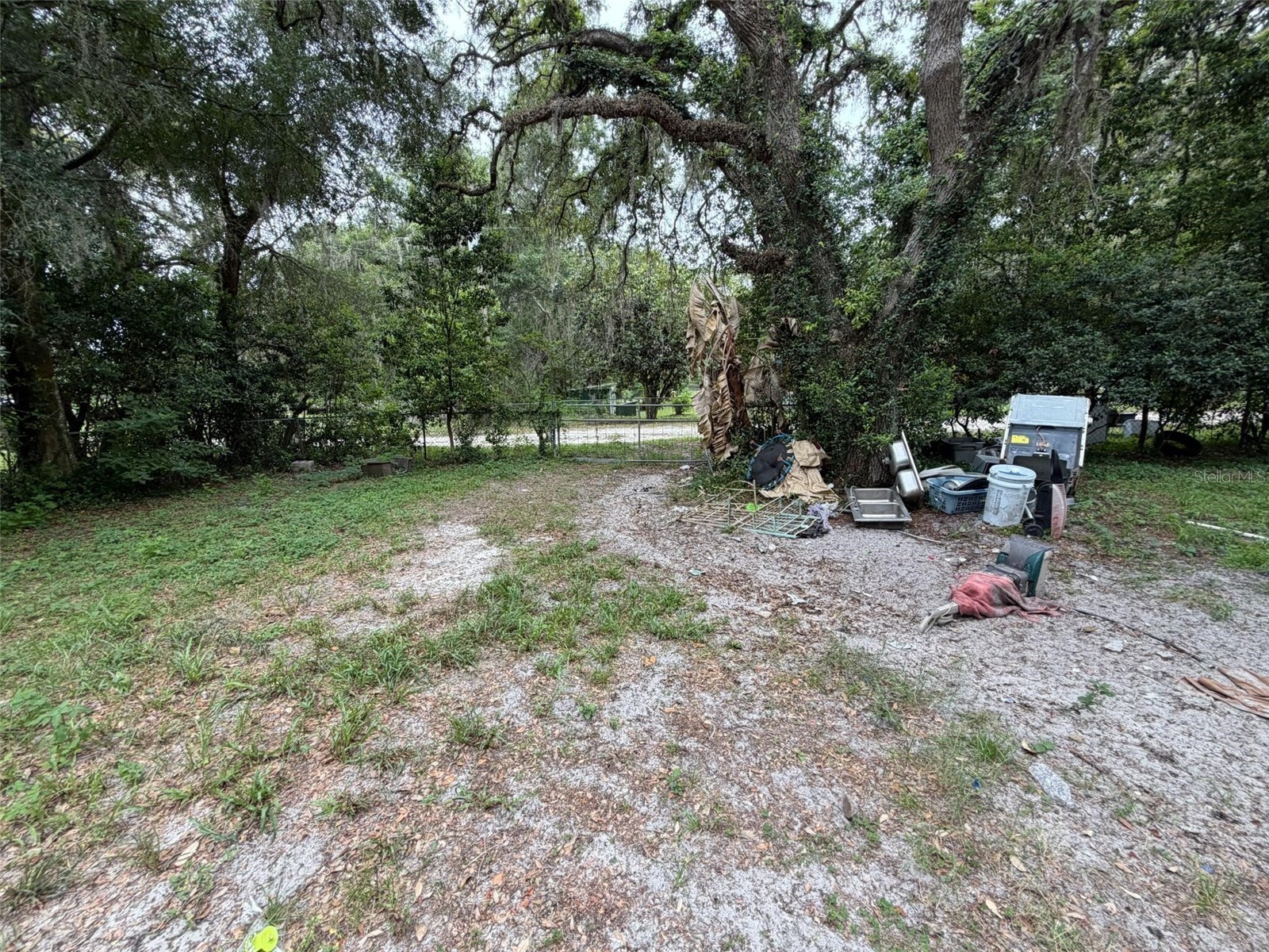 39412 Mercer Road Dade City FL 33523 O6416107 image3