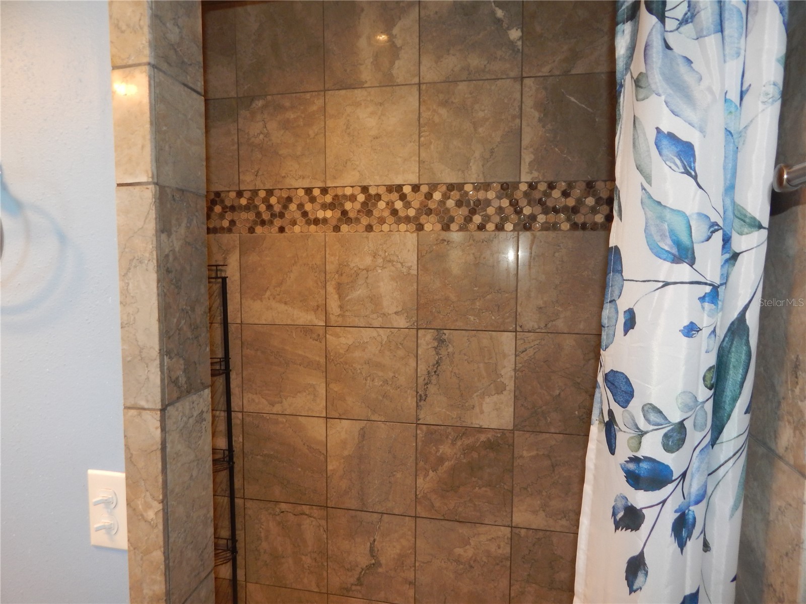 39414 8th Avenue Zephyrhills FL 33542 TB8487005 image25