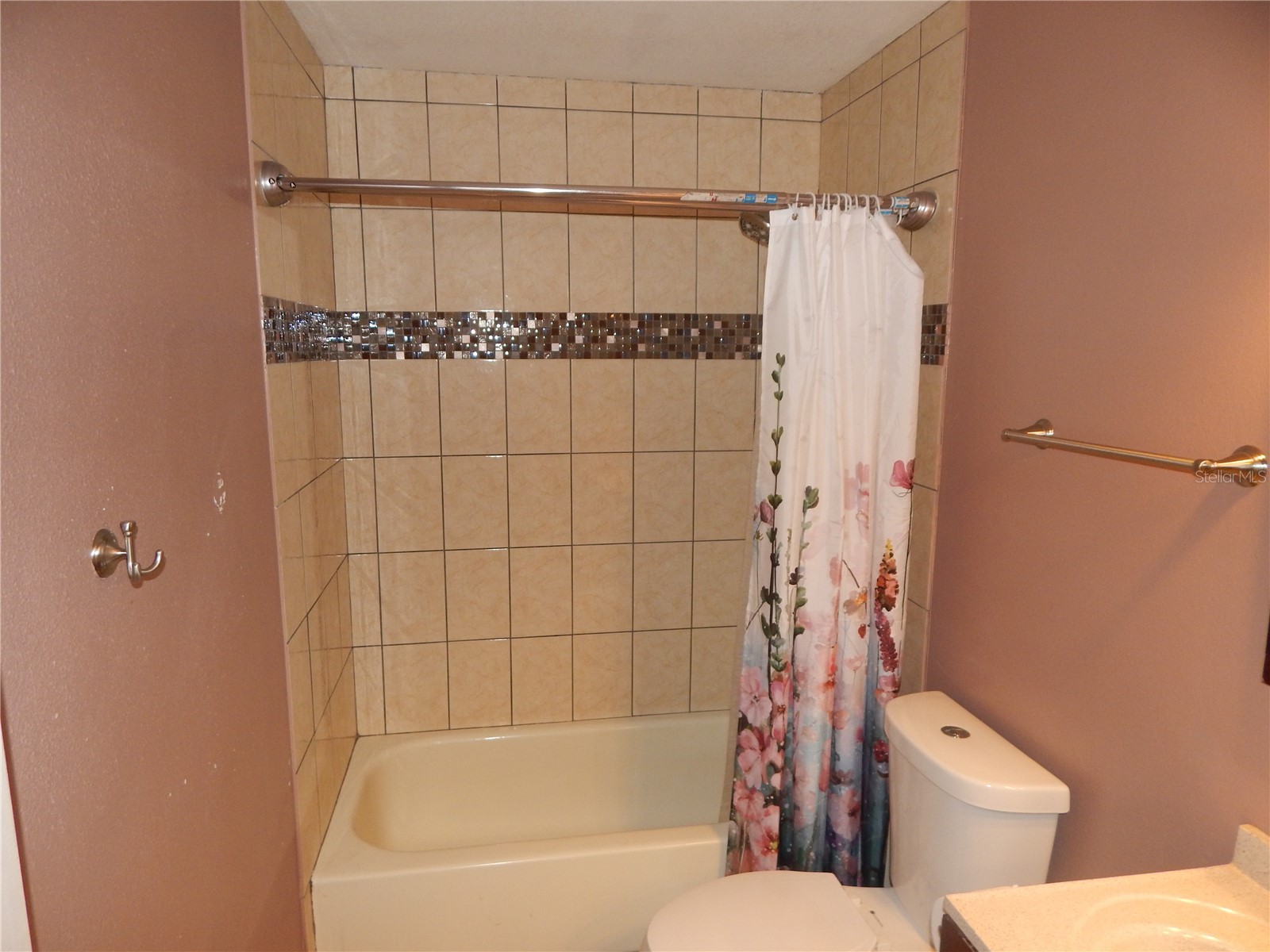 39414 8th Avenue Zephyrhills FL 33542 TB8487005 image27