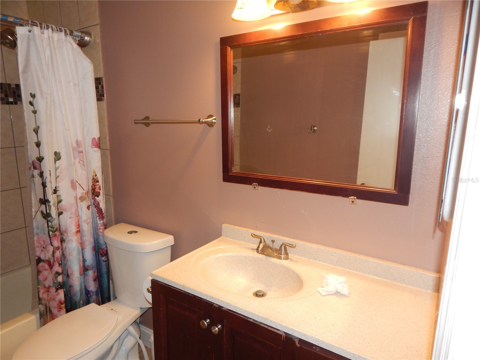 39414 8th Avenue Zephyrhills FL 33542 TB8487005 image28