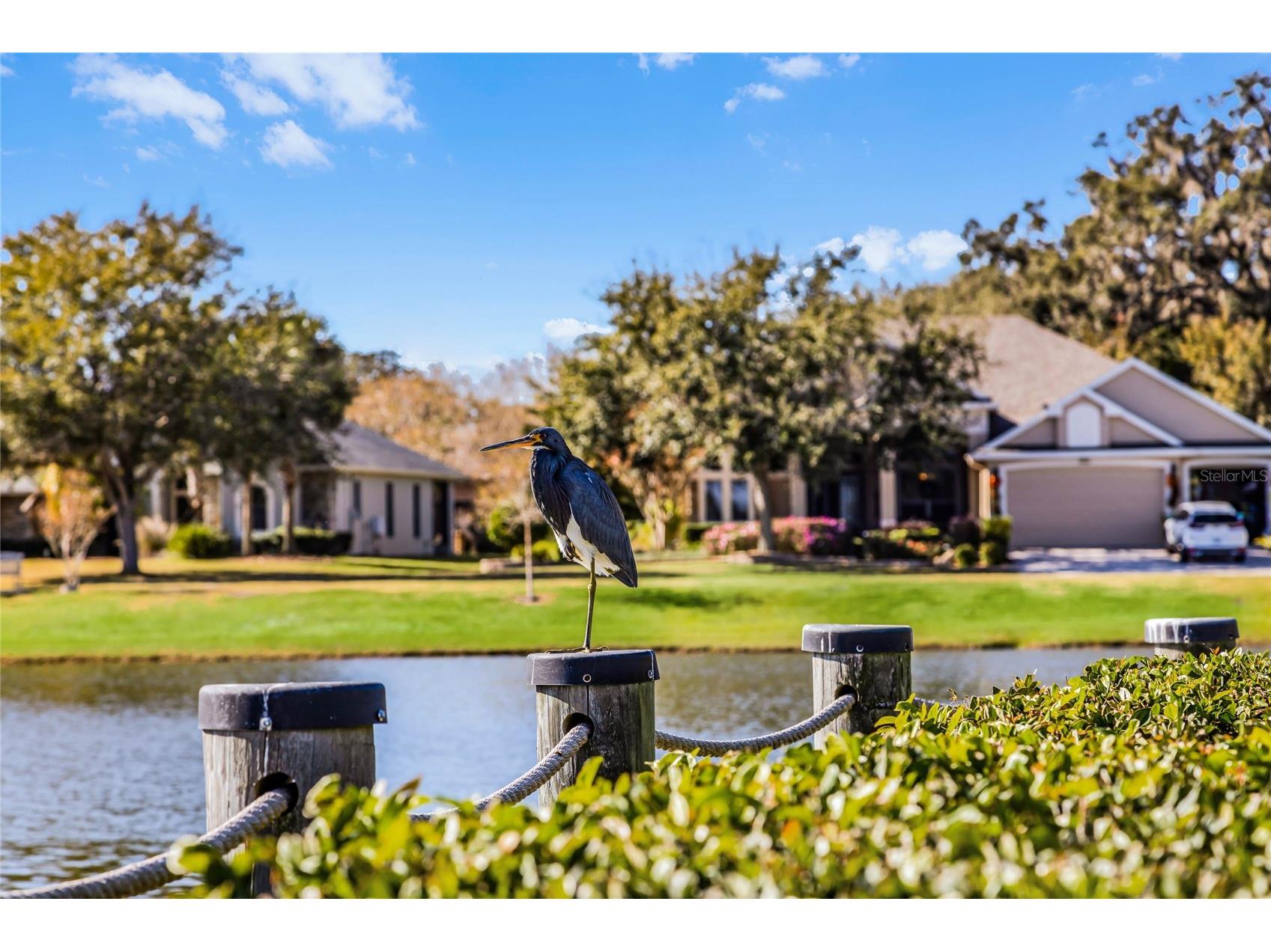 3942 Kennebunk Loop Mount Dora FL 32757 O6388176 image48