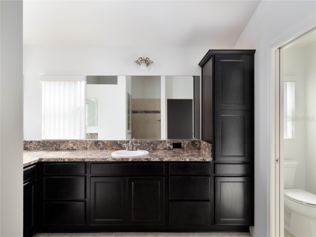 3942 Zenith Loop The Villages FL 32163 G5105458 image20