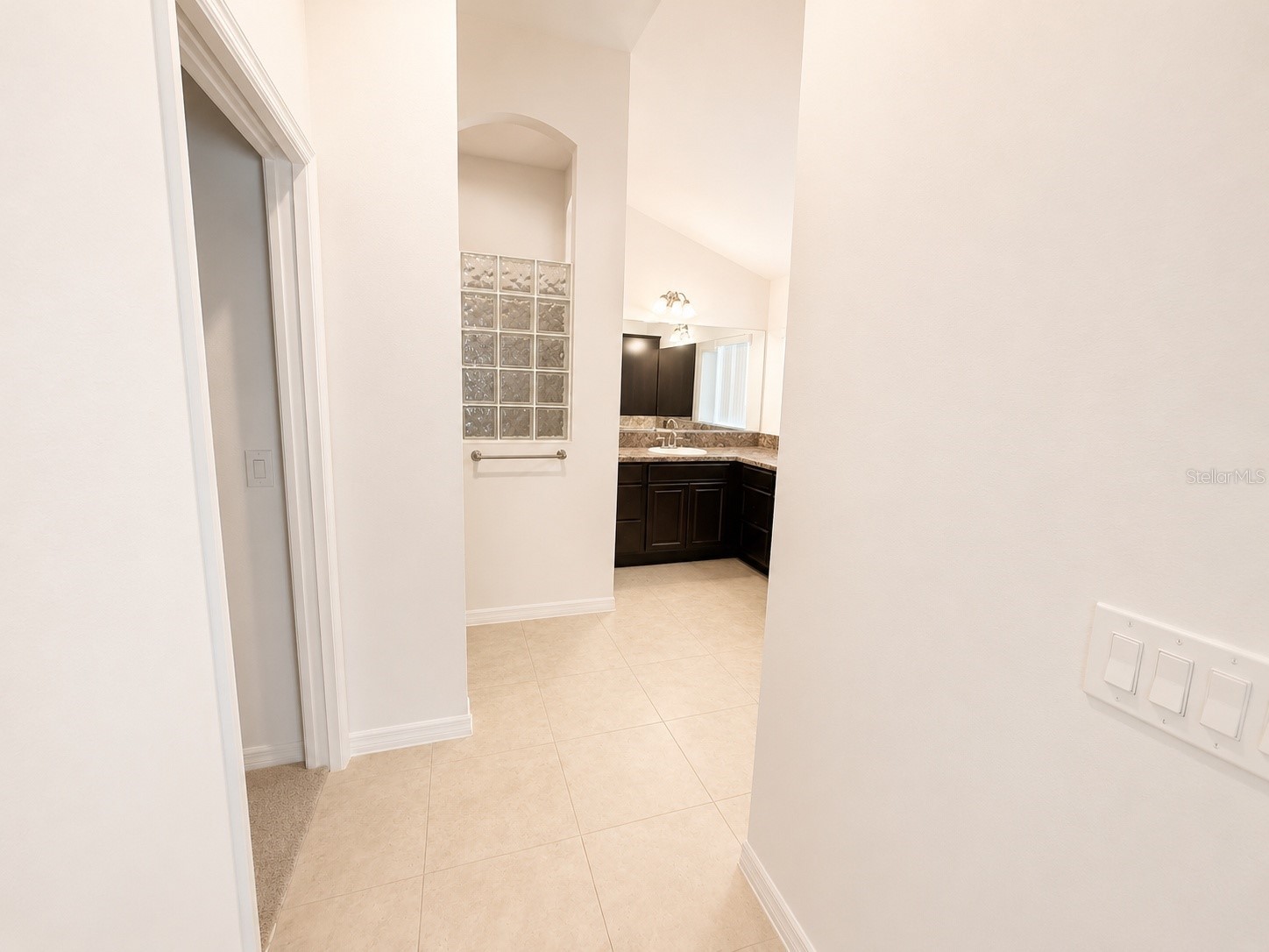 3942 Zenith Loop The Villages FL 32163 G5113983 image15