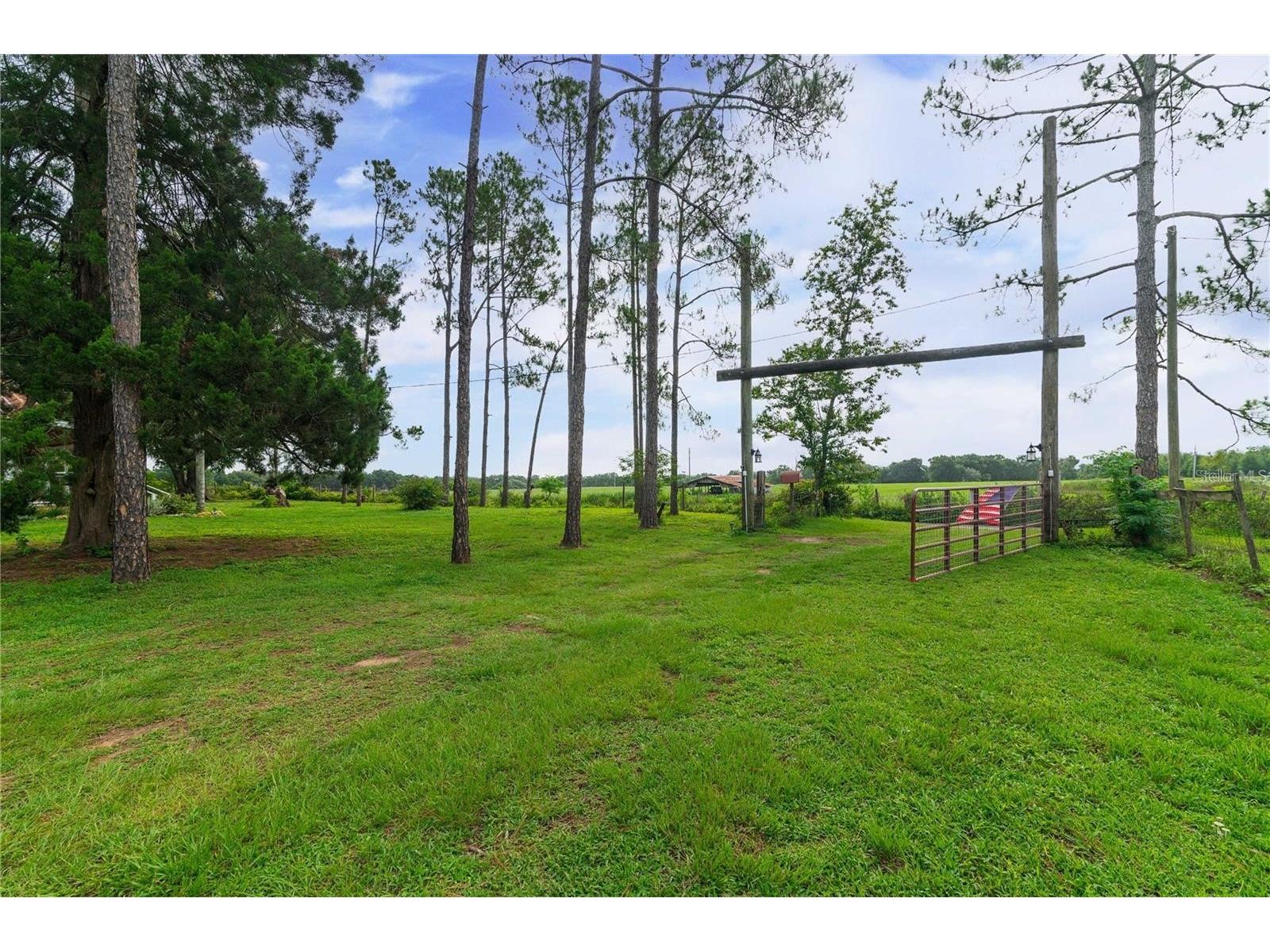 39425 Wilds Road Dade City FL 33525 TB8486587 image31