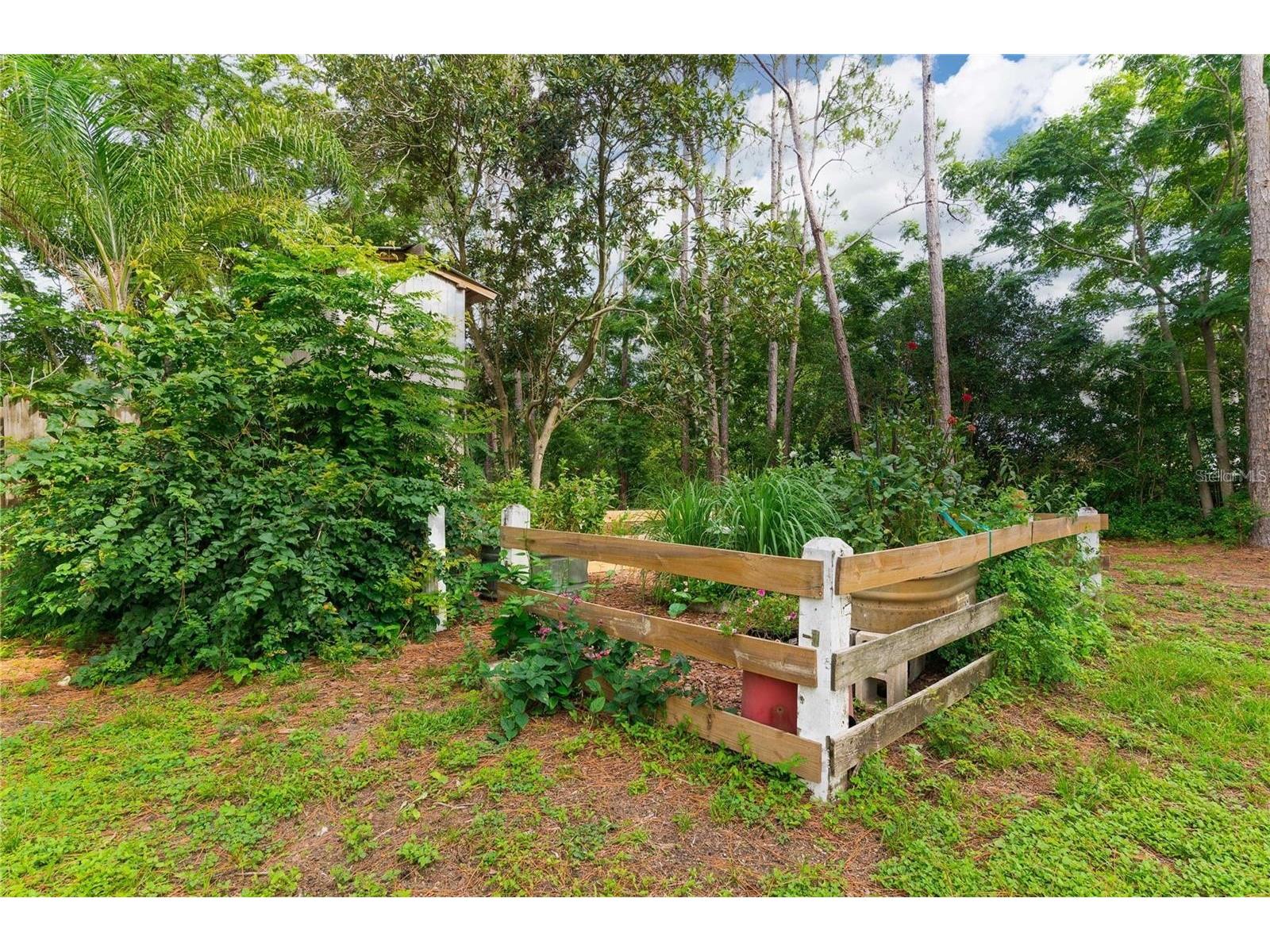 39425 Wilds Road Dade City FL 33525 TB8486587 image43