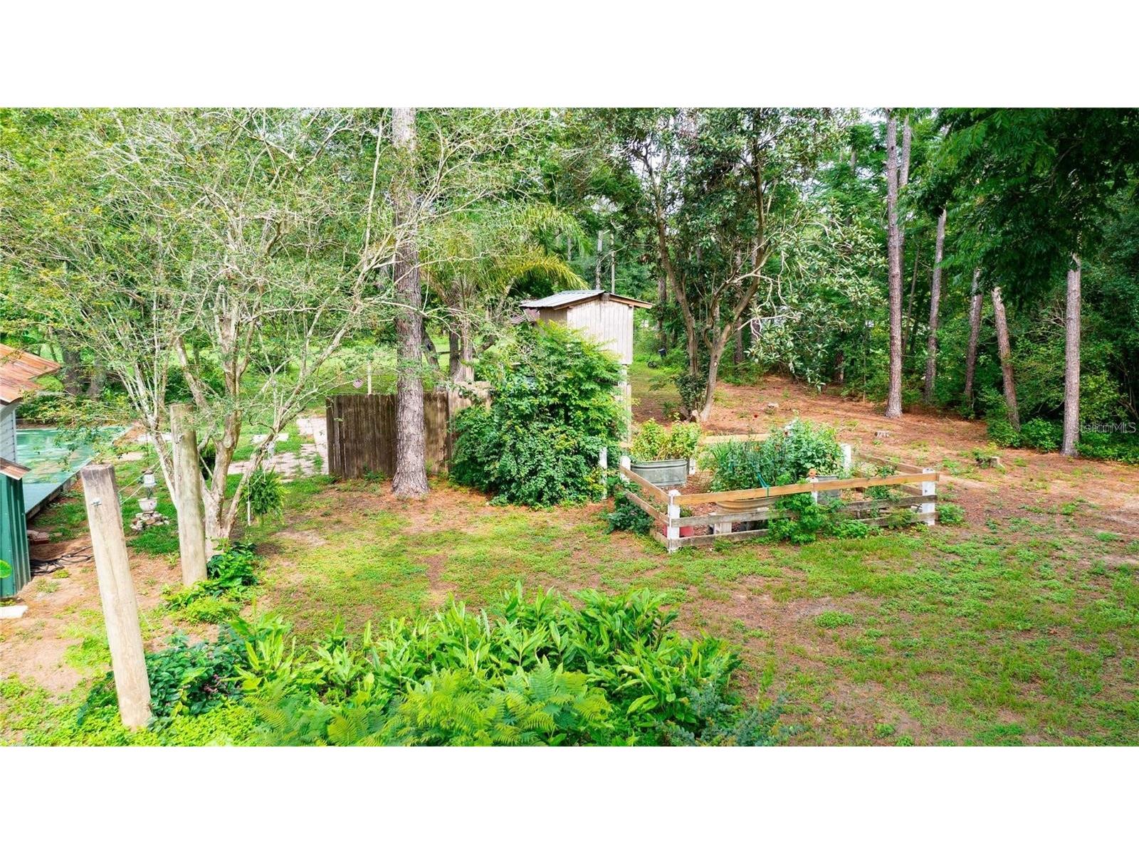 39425 Wilds Road Dade City FL 33525 TB8486587 image44
