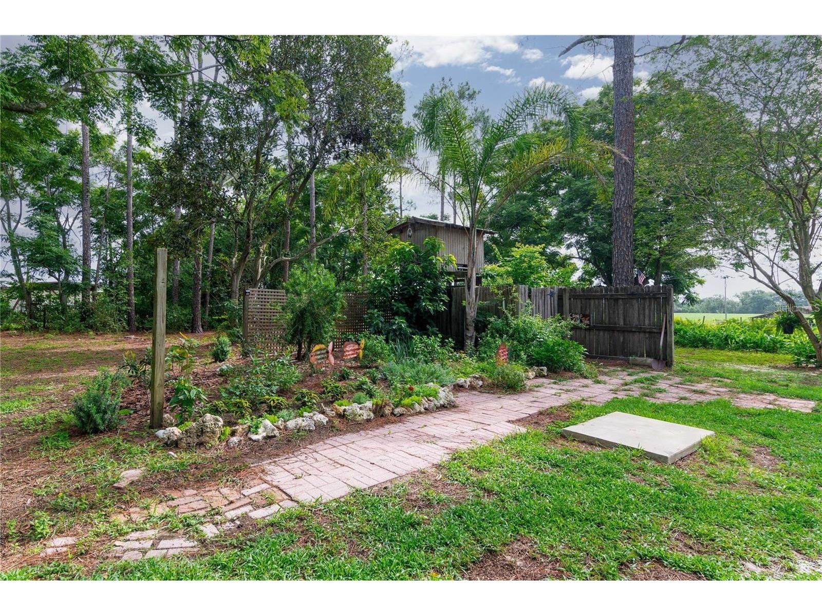 39425 Wilds Road Dade City FL 33525 TB8486587 image46