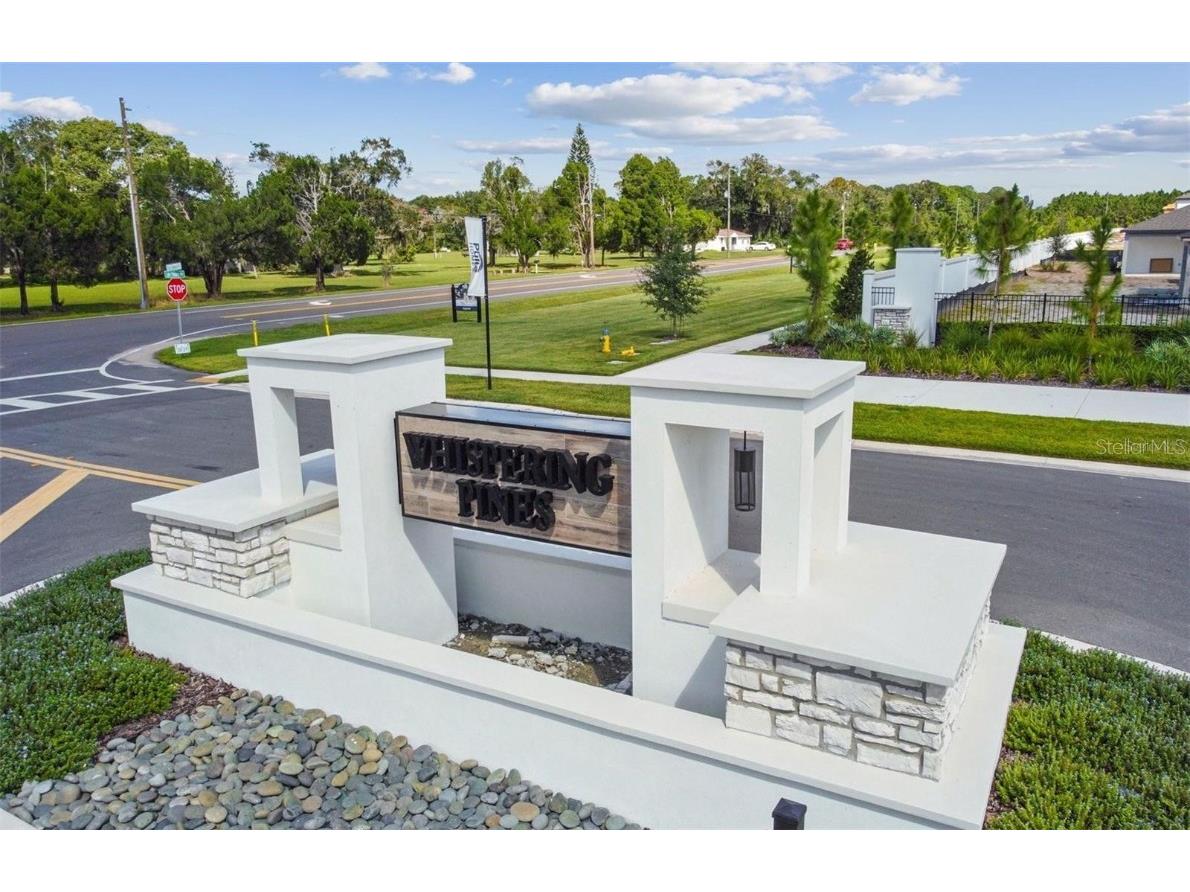 3943 Almond Brook Boulevard Land O Lakes FL 34638 T3518814 image1