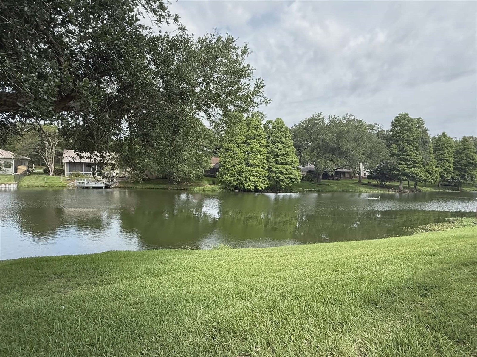 3943 Cheverly Drive E Lakeland FL 33813 - CANYON LAKE L4962437 image2