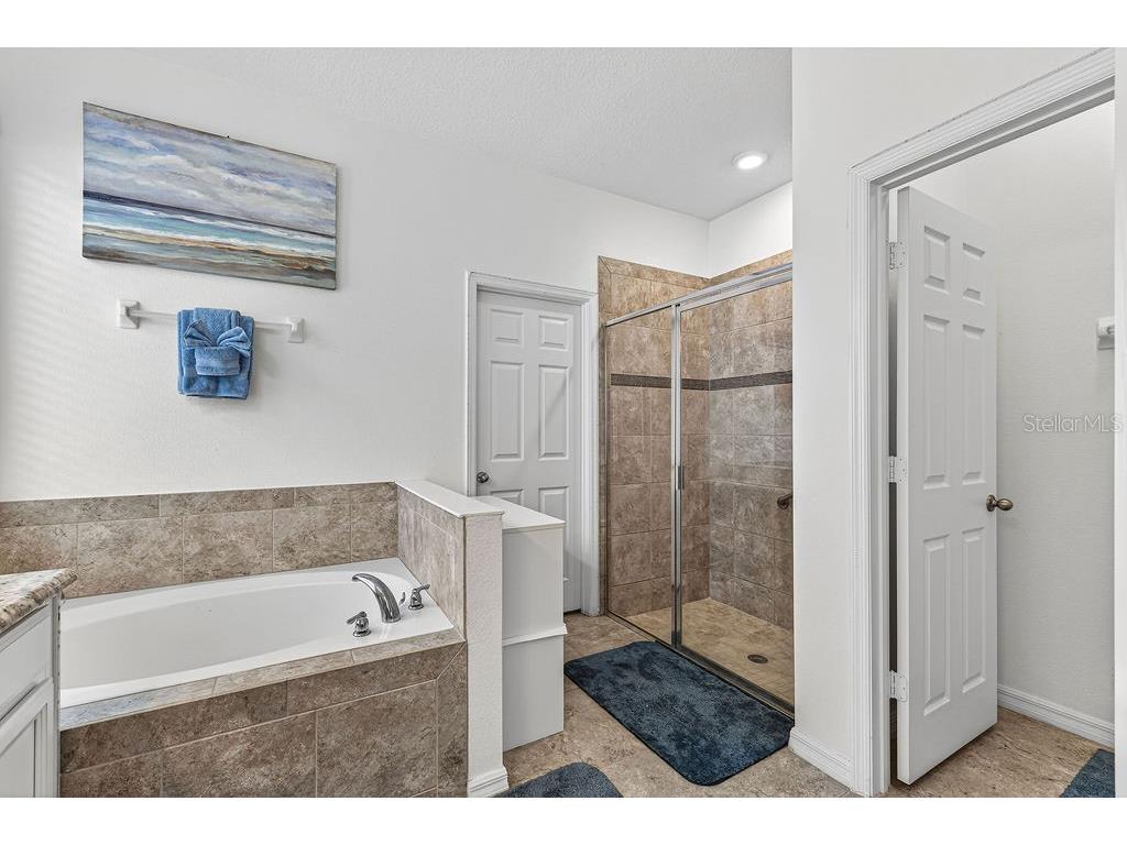 3943 Green Sabal Drive Orlando FL 32824 O6393580 image18