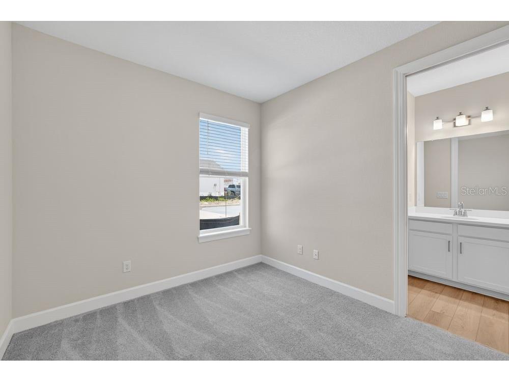 3943 Immacolata Way Wesley Chapel FL 33543 TB8498254 image23