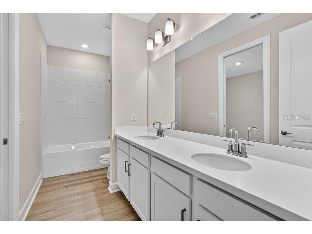 3943 Immacolata Way Wesley Chapel FL 33543 TB8498254 image26