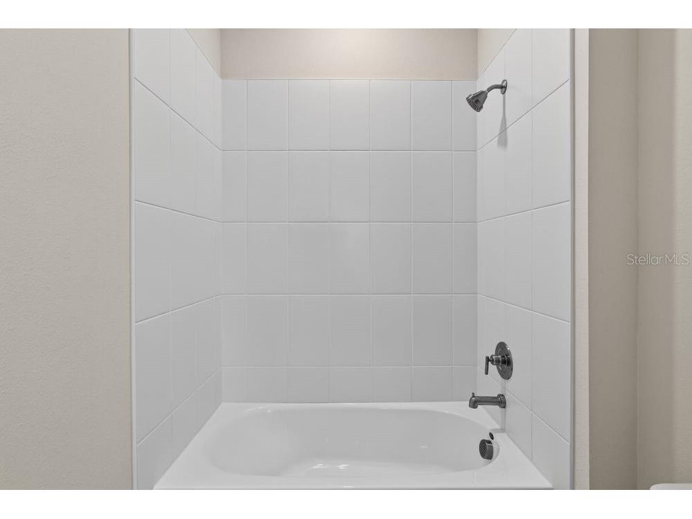 3943 Immacolata Way Wesley Chapel FL 33543 TB8498254 image27