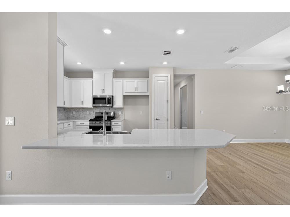 3943 Immacolata Way Wesley Chapel FL 33543 TB8498254 image3