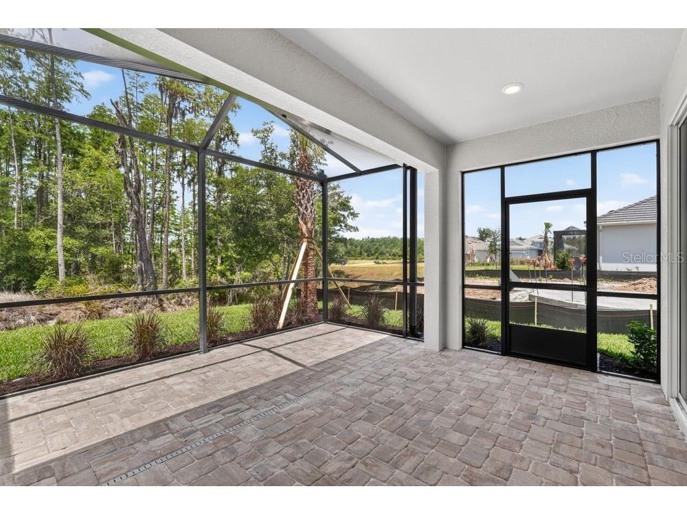 3943 Immacolata Way Wesley Chapel FL 33543 TB8498254 image31
