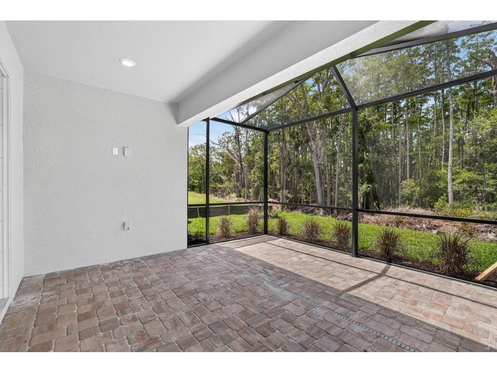 3943 Immacolata Way Wesley Chapel FL 33543 TB8498254 image32