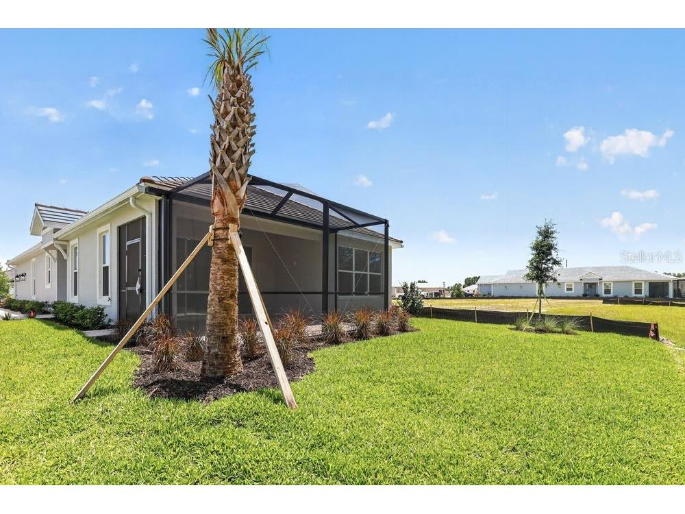 3943 Immacolata Way Wesley Chapel FL 33543 TB8498254 image34