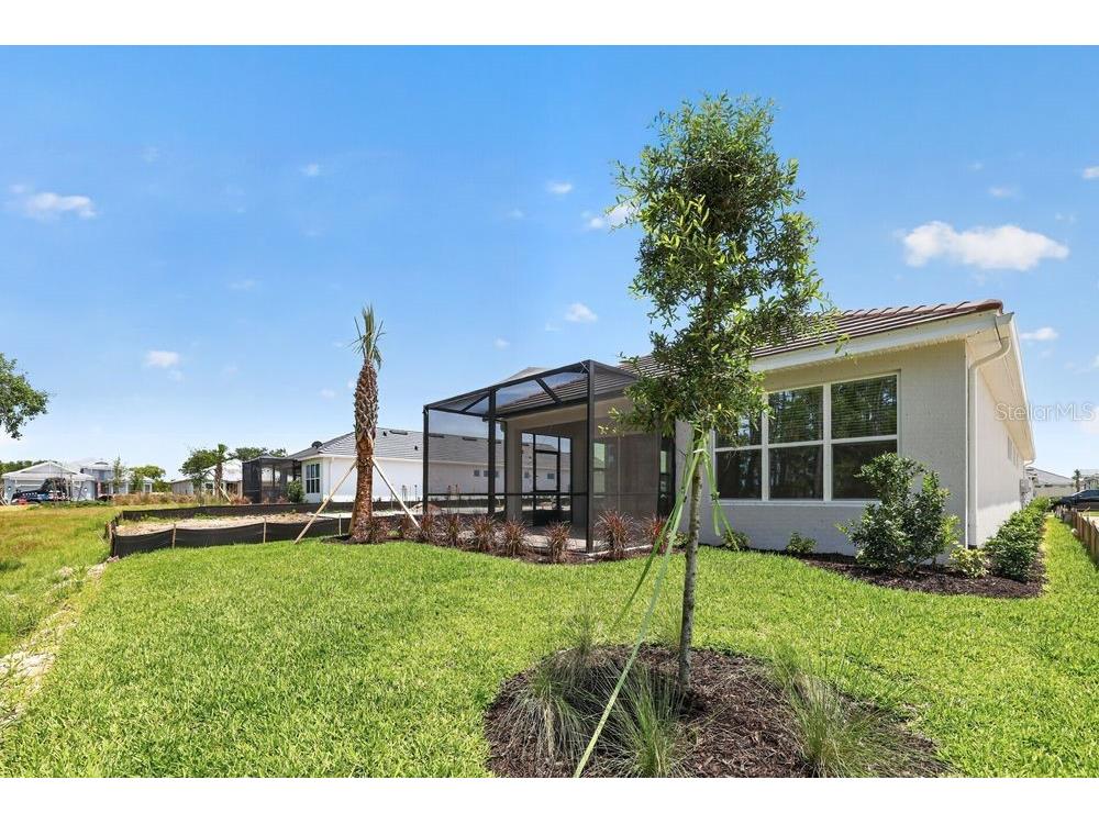 3943 Immacolata Way Wesley Chapel FL 33543 TB8498254 image35