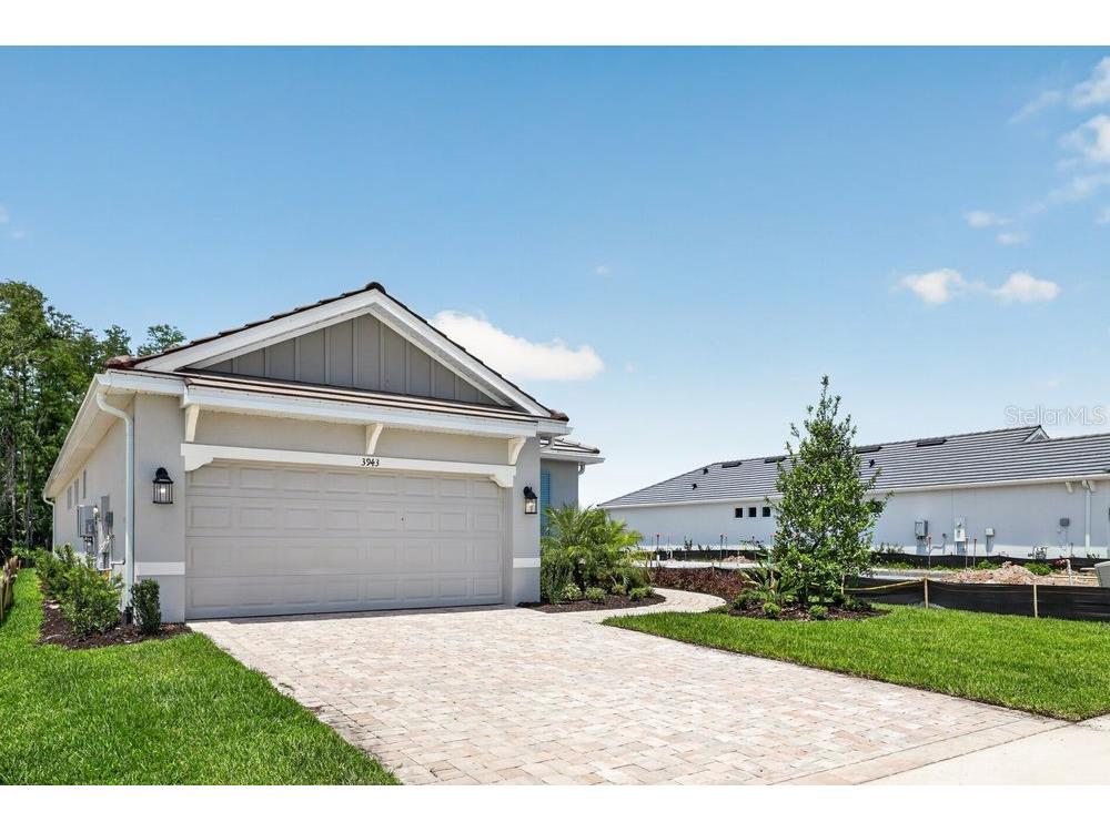 3943 Immacolata Way Wesley Chapel FL 33543 TB8498254 image37
