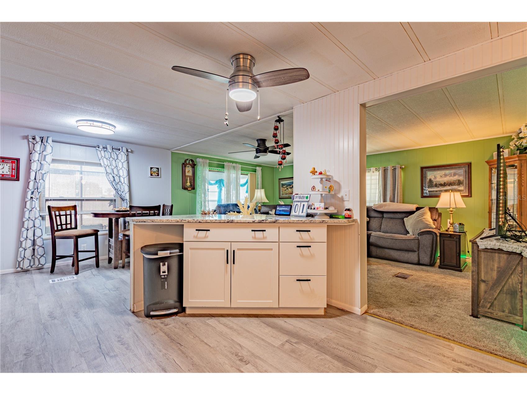 39437 Elgin Drive Zephyrhills FL 33542 TB8481589 image19