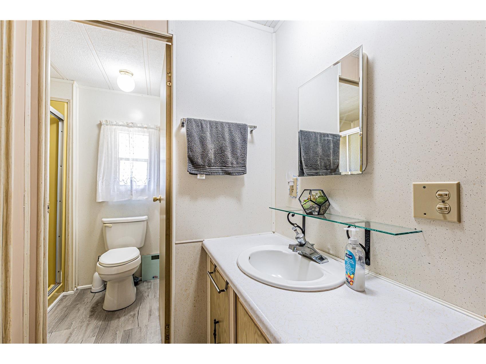 39437 Elgin Drive Zephyrhills FL 33542 TB8481589 image38