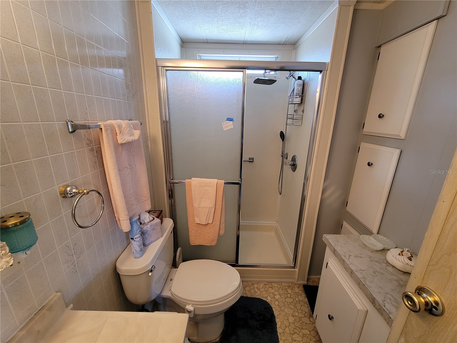 39438 Rockford Avenue Zephyrhills FL 33542 TB8476011 image13