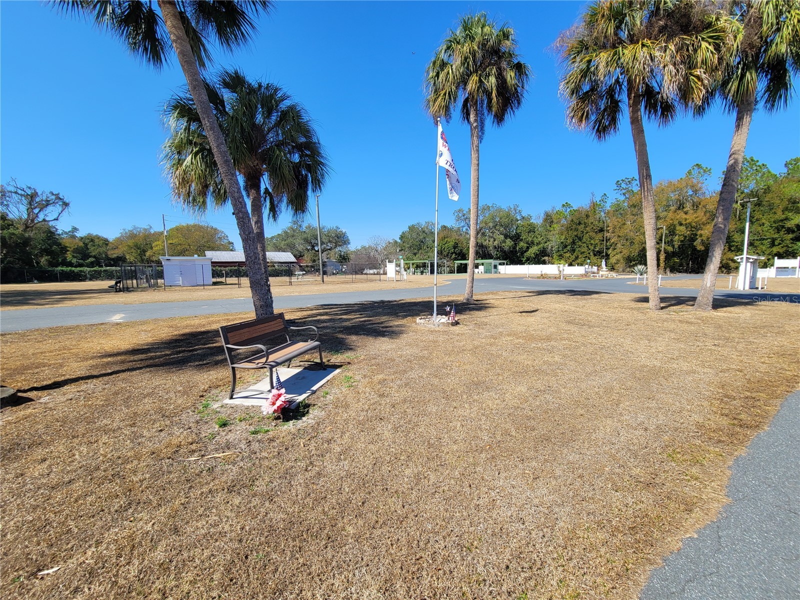 39438 Rockford Avenue Zephyrhills FL 33542 TB8476011 image49