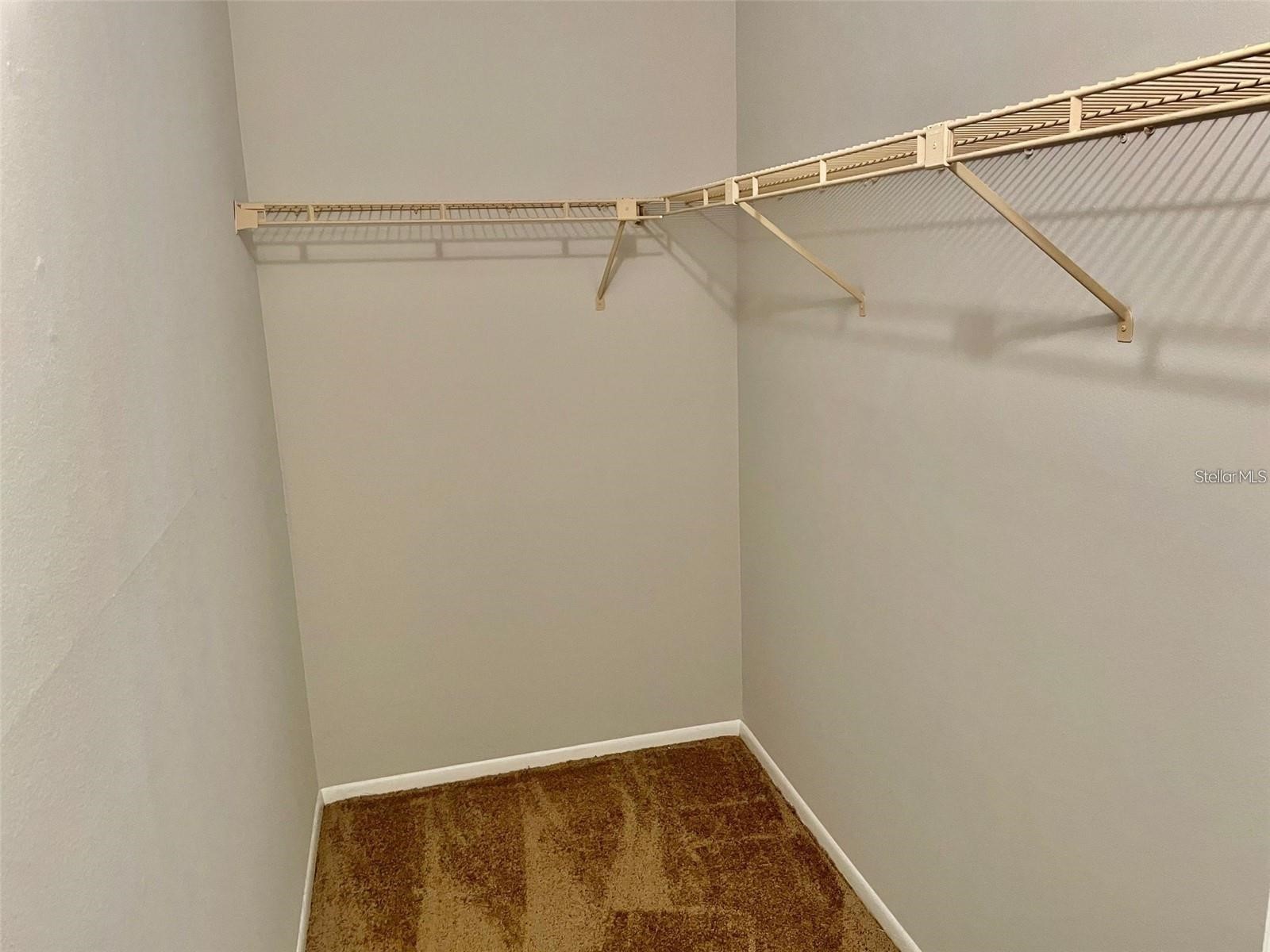 3944 Tumble Wood Trail #101 Tampa FL 33613 TB8514023 image15