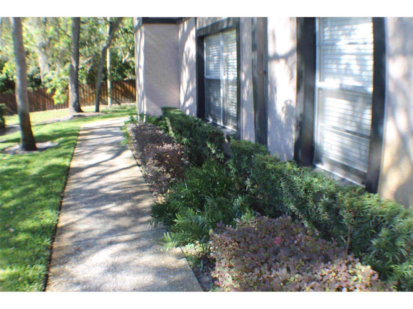 3944 Tumble Wood Trail #101 Tampa FL 33613 TB8514023 image20