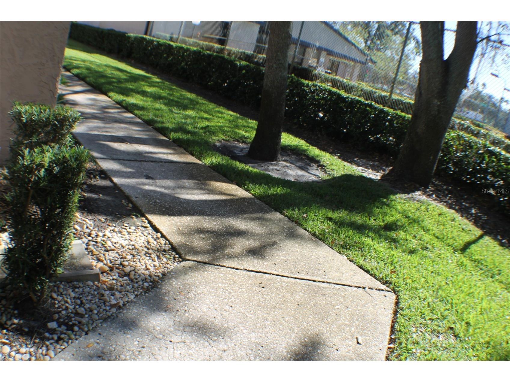 3944 Tumble Wood Trail #101 Tampa FL 33613 TB8514023 image21