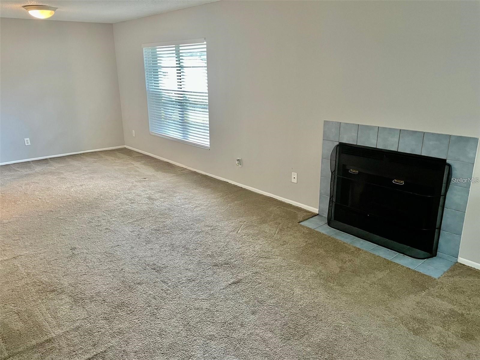3944 Tumble Wood Trail #101 Tampa FL 33613 TB8514023 image7
