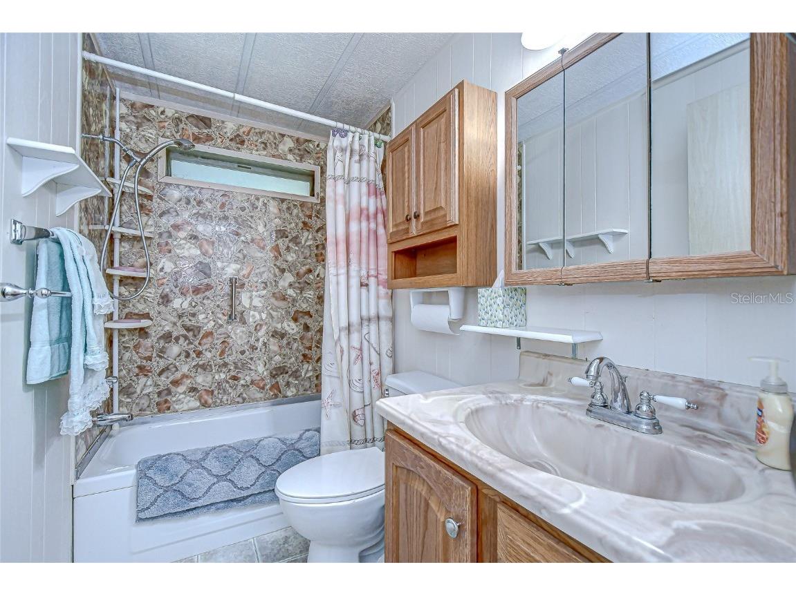 39443 Elgin Drive Zephyrhills FL 33542 TB8431872 image13