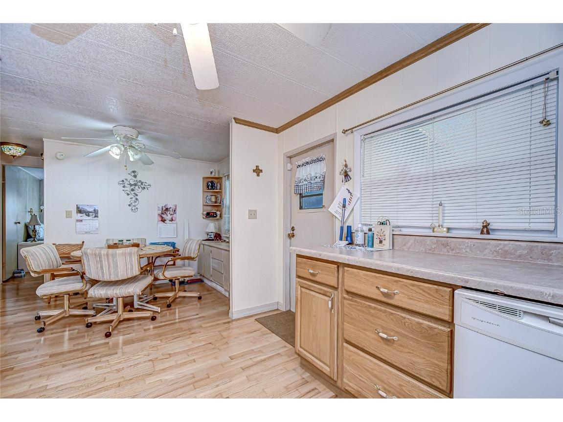 39443 Elgin Drive Zephyrhills FL 33542 TB8431872 image5