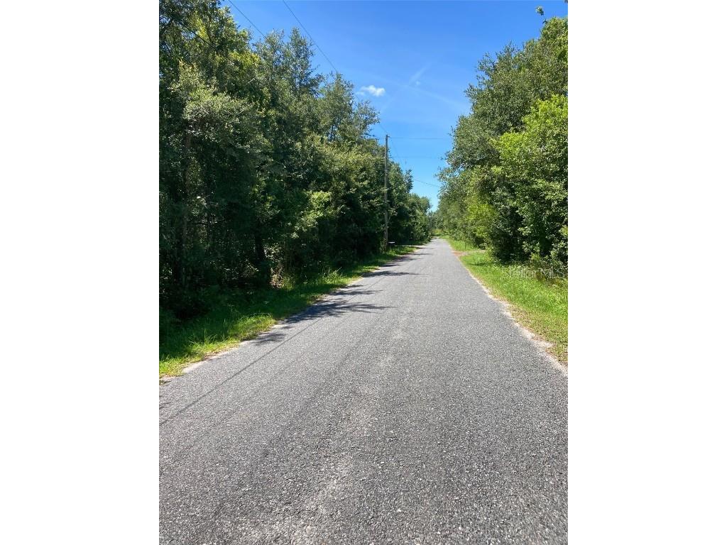 3945 Doe Drive Saint Cloud FL 34772 S5076213 image1