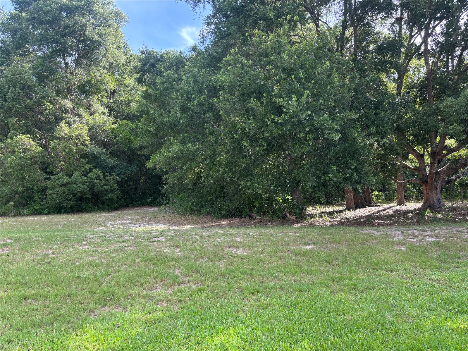 3945 N Citrus Circle #232 Zellwood FL 32798 - LAKE COHEN AND LAKE GRASSMERE O6410952 image19
