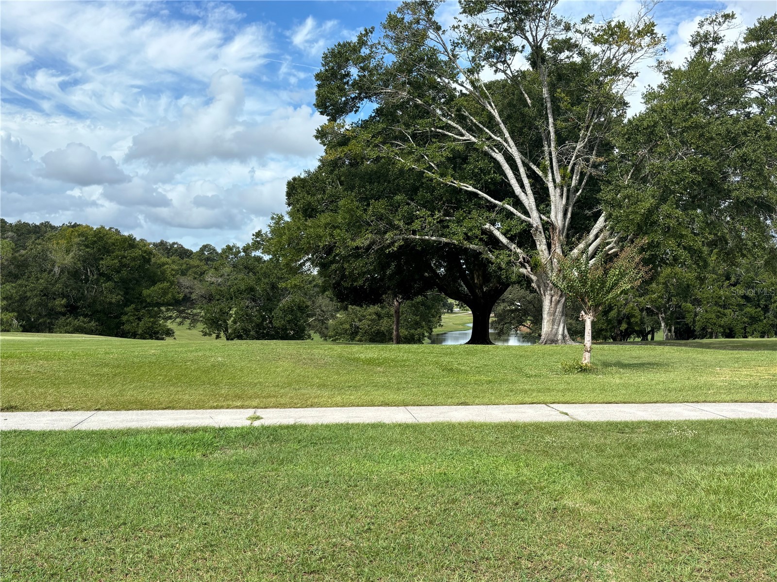 3945 N Citrus Circle #232 Zellwood FL 32798 - LAKE COHEN AND LAKE GRASSMERE O6410952 image25