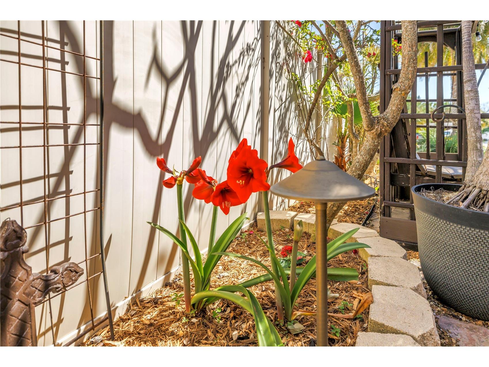 3945 Poinsettia Drive Saint Pete Beach FL 33706 TB8498461 image95