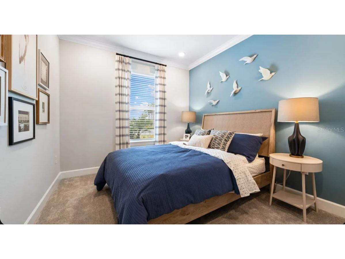 3946 Immacolata Way Wesley Chapel FL 33543 TB8507493 image11