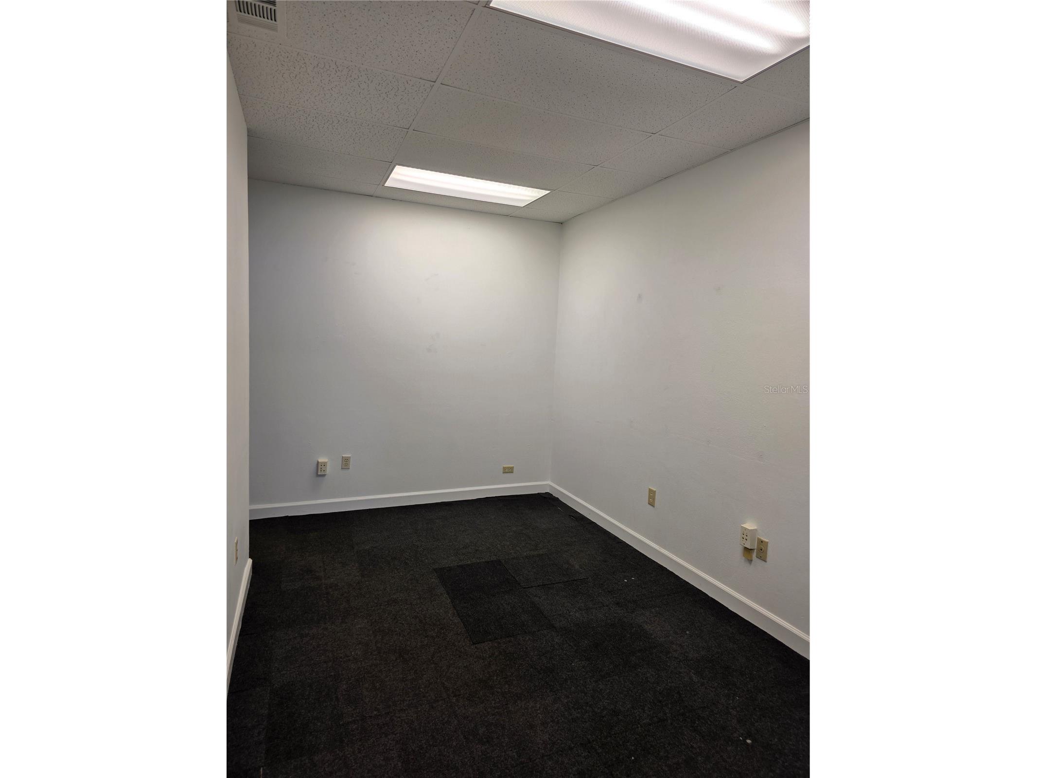 3946 Lake Padgett Drive Land O Lakes FL 34639 TB8493563 image10