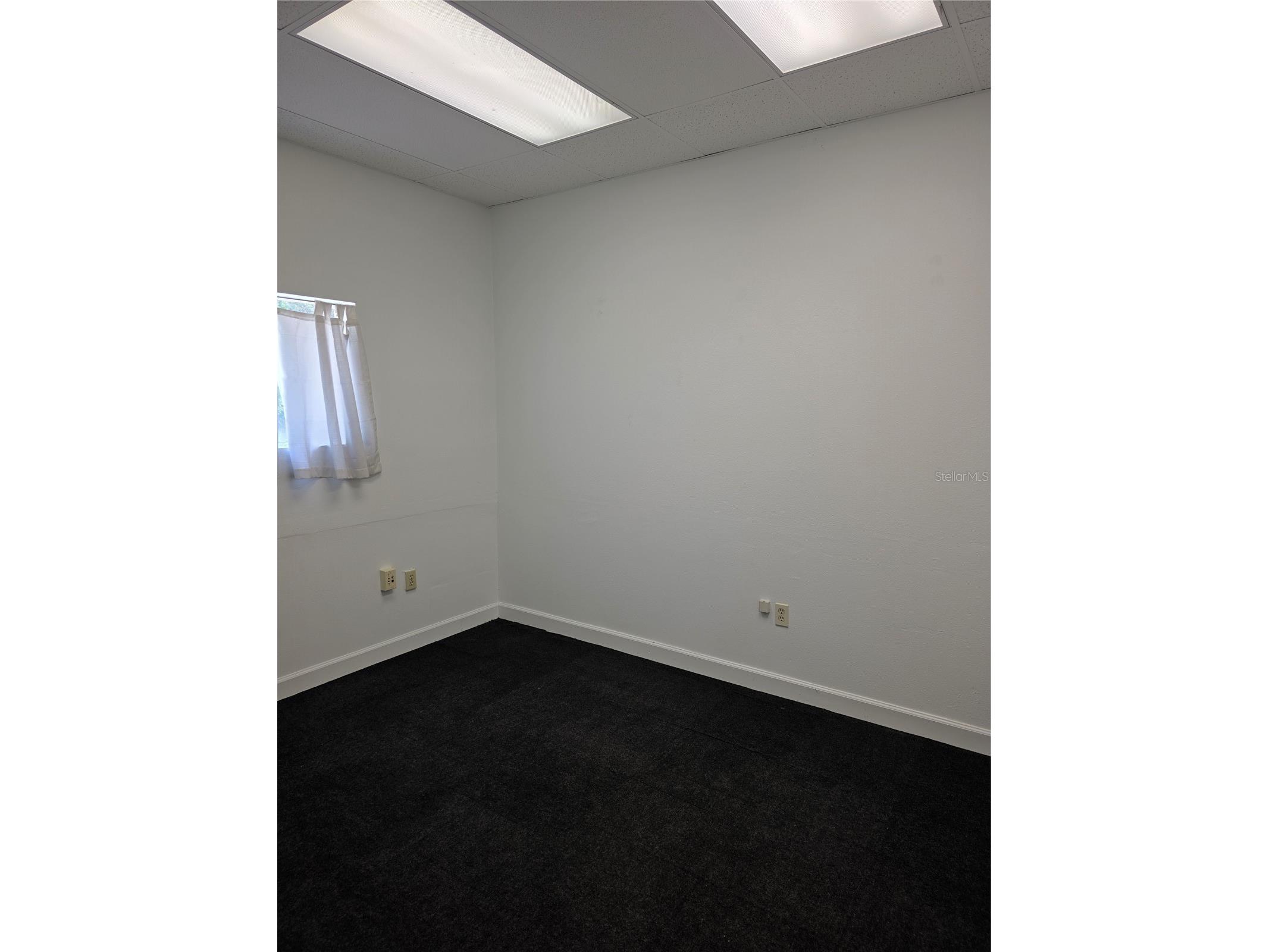 3946 Lake Padgett Drive Land O Lakes FL 34639 TB8493563 image9
