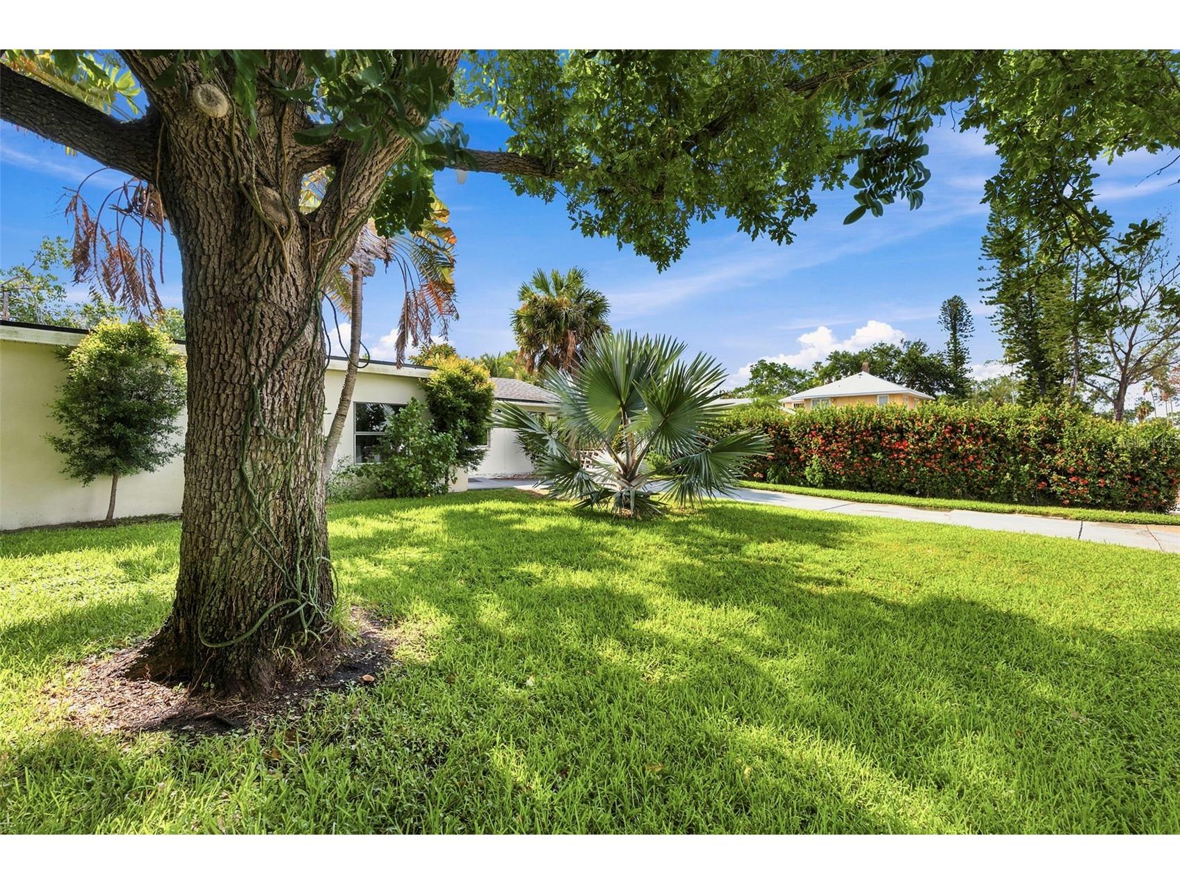 3947 Huntington Street NE Saint Petersburg FL 33703 TB8527580 image73