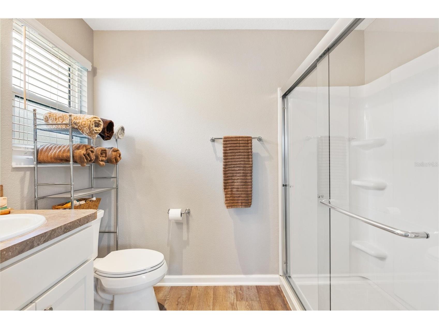 3948 Munford Terrace The Villages FL 32163 G5111881 image16