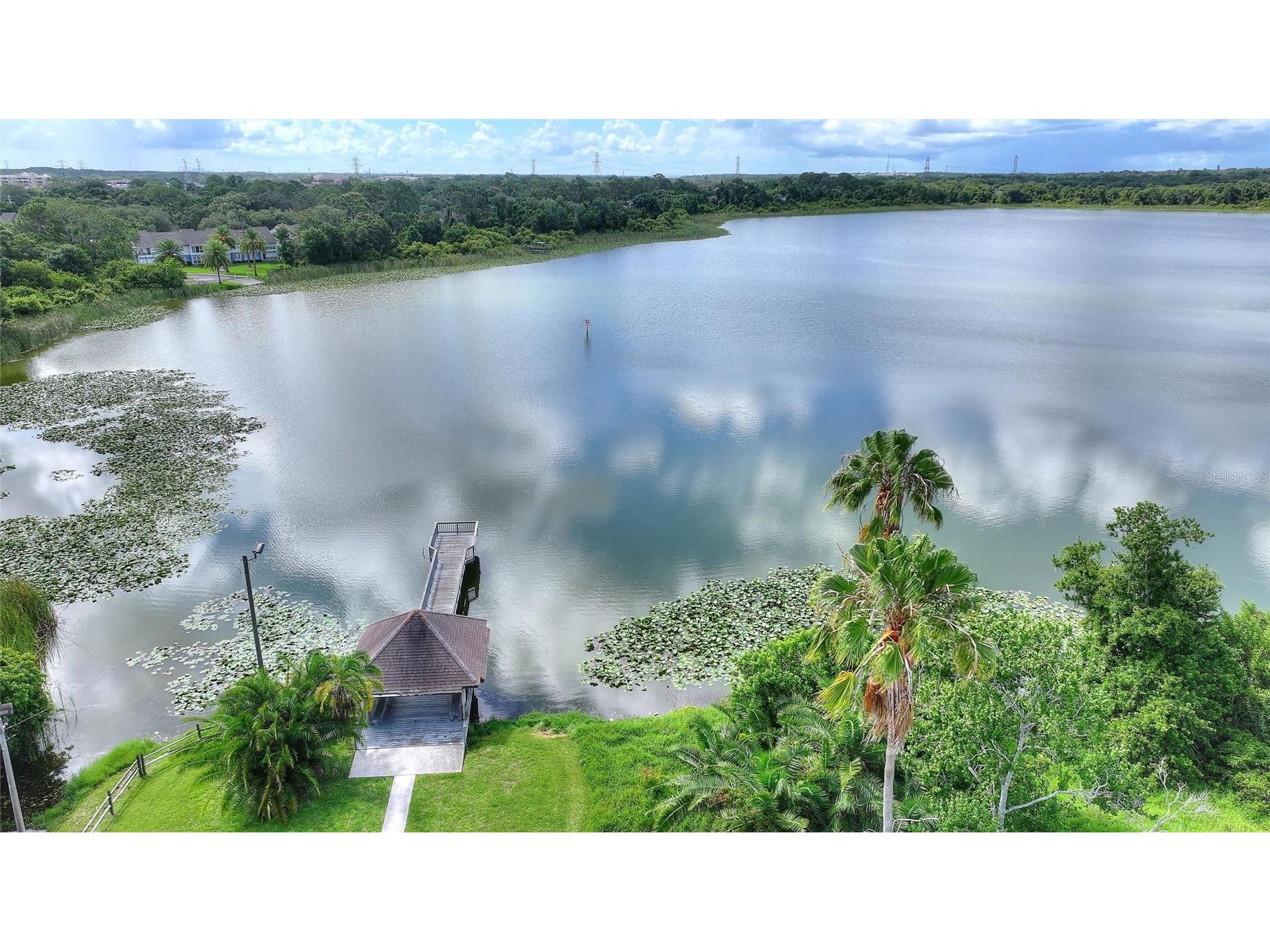 3948 Orchard Hill Circle Palm Harbor FL 34684 A4697490 image46