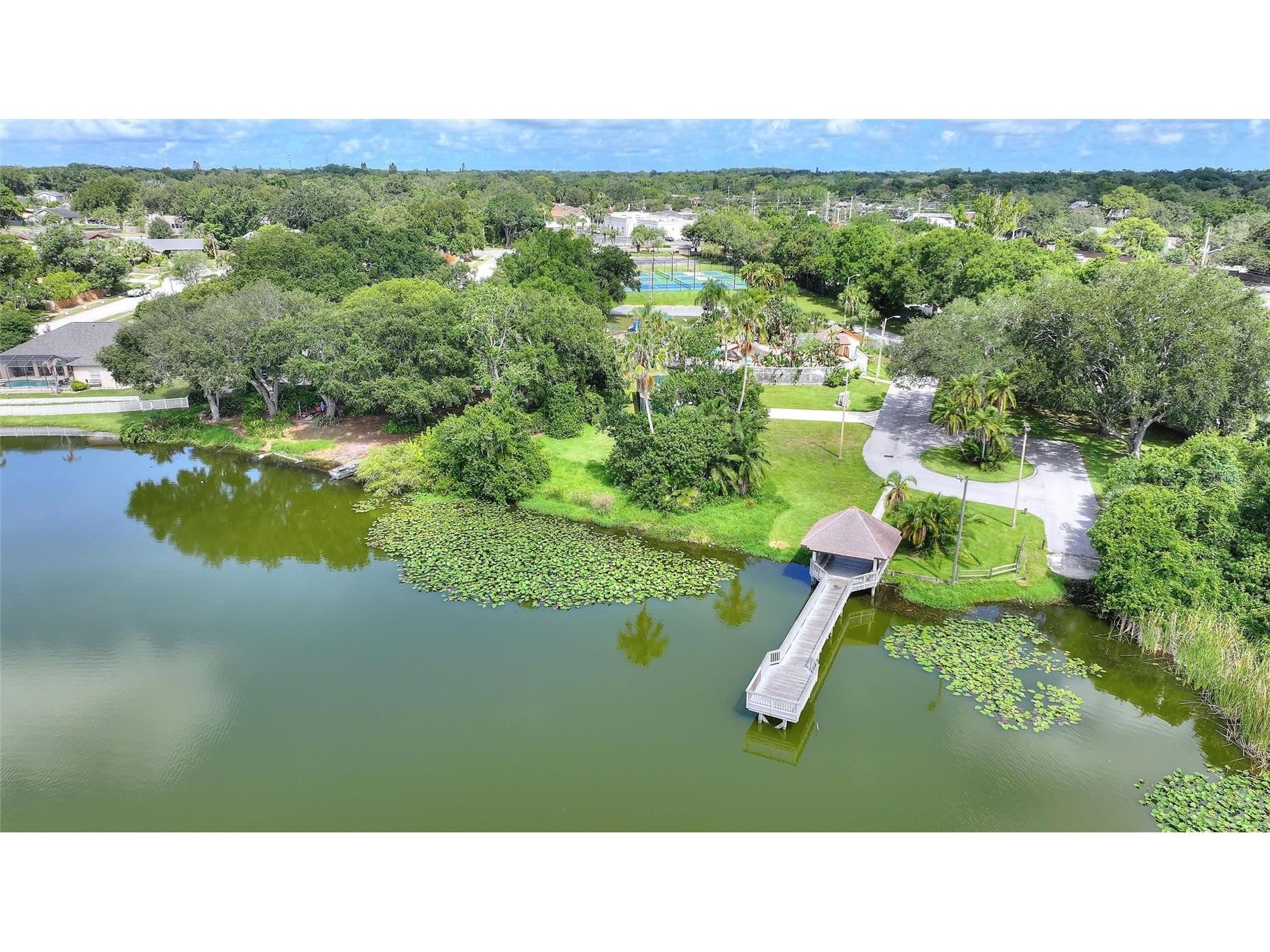 3948 Orchard Hill Circle Palm Harbor FL 34684 A4697490 image47